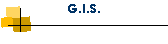 G.I.S.